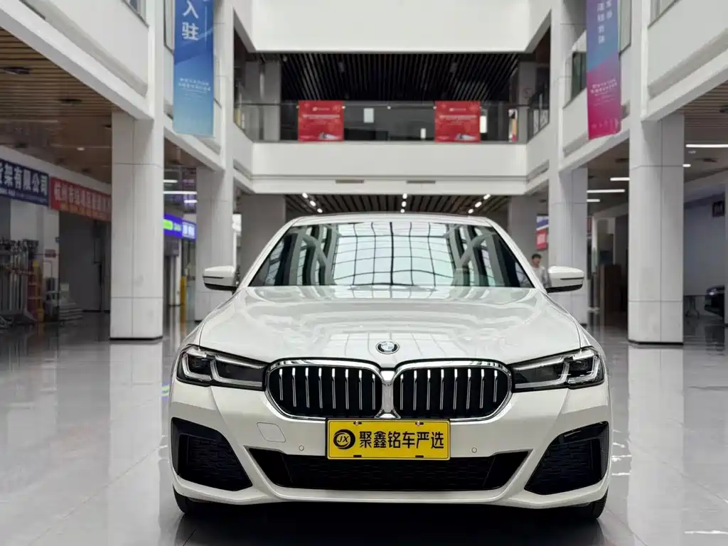 BMW 5 Series — миниатюра 2