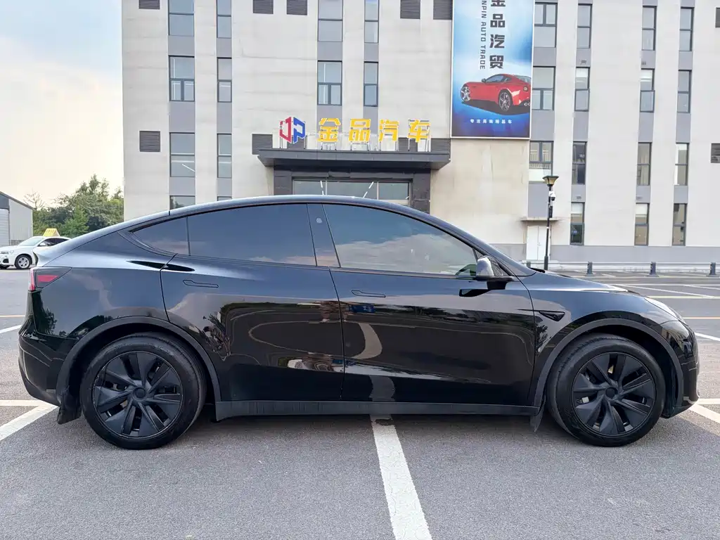 Tesla Model Y — миниатюра 7