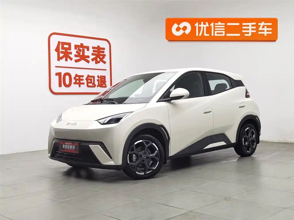 Byd Seagull 2025