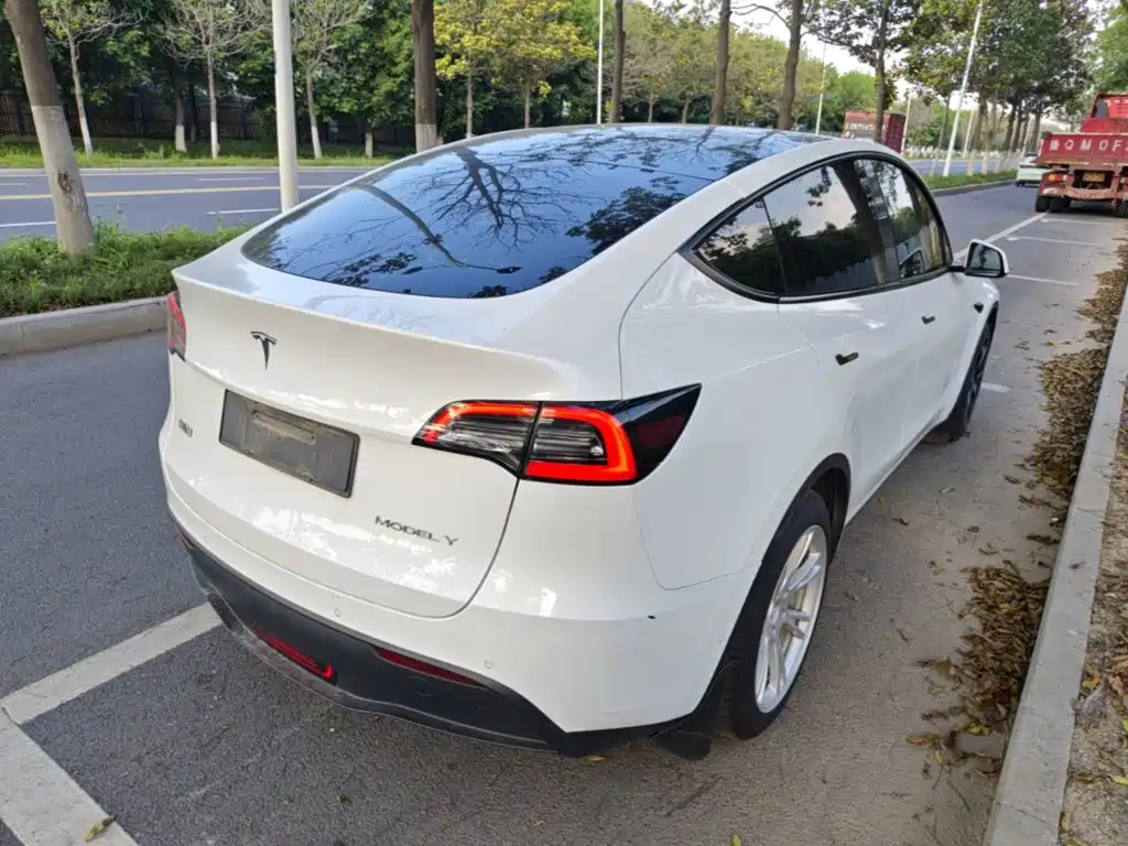 Tesla Model Y — миниатюра 7