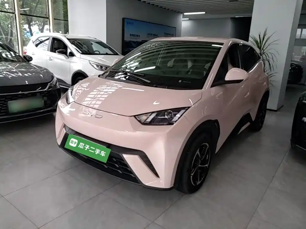 BYD Seagull