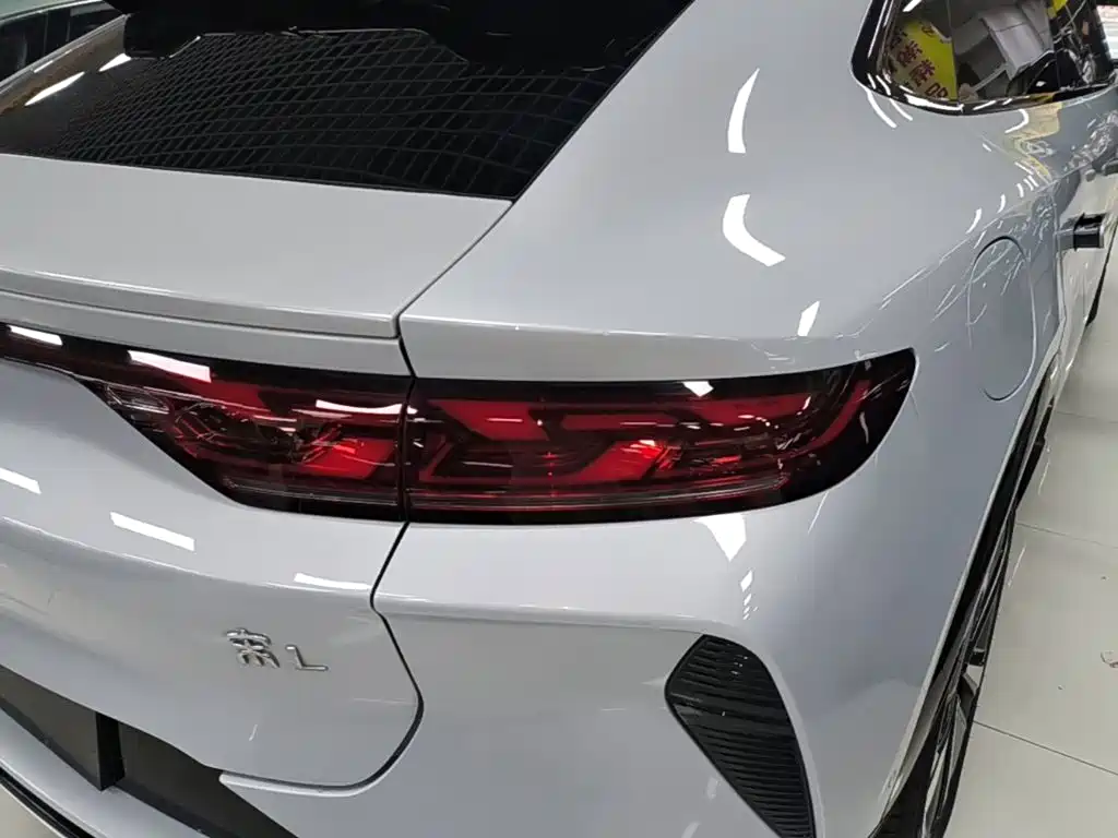 BYD L EV — миниатюра 8