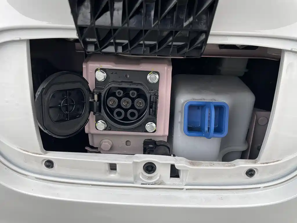 BESTUNE PENTIUM PONY