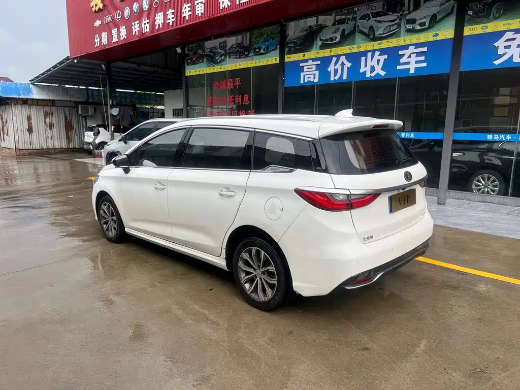 BYD MAX — миниатюра 5