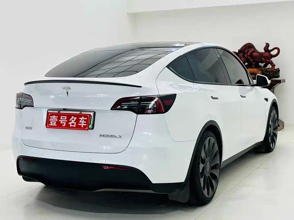 Tesla Model Y — миниатюра 4