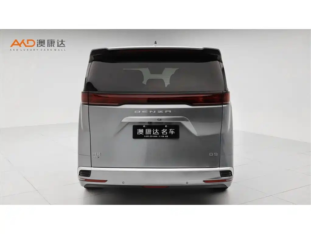Denza Denza D9 — миниатюра 4