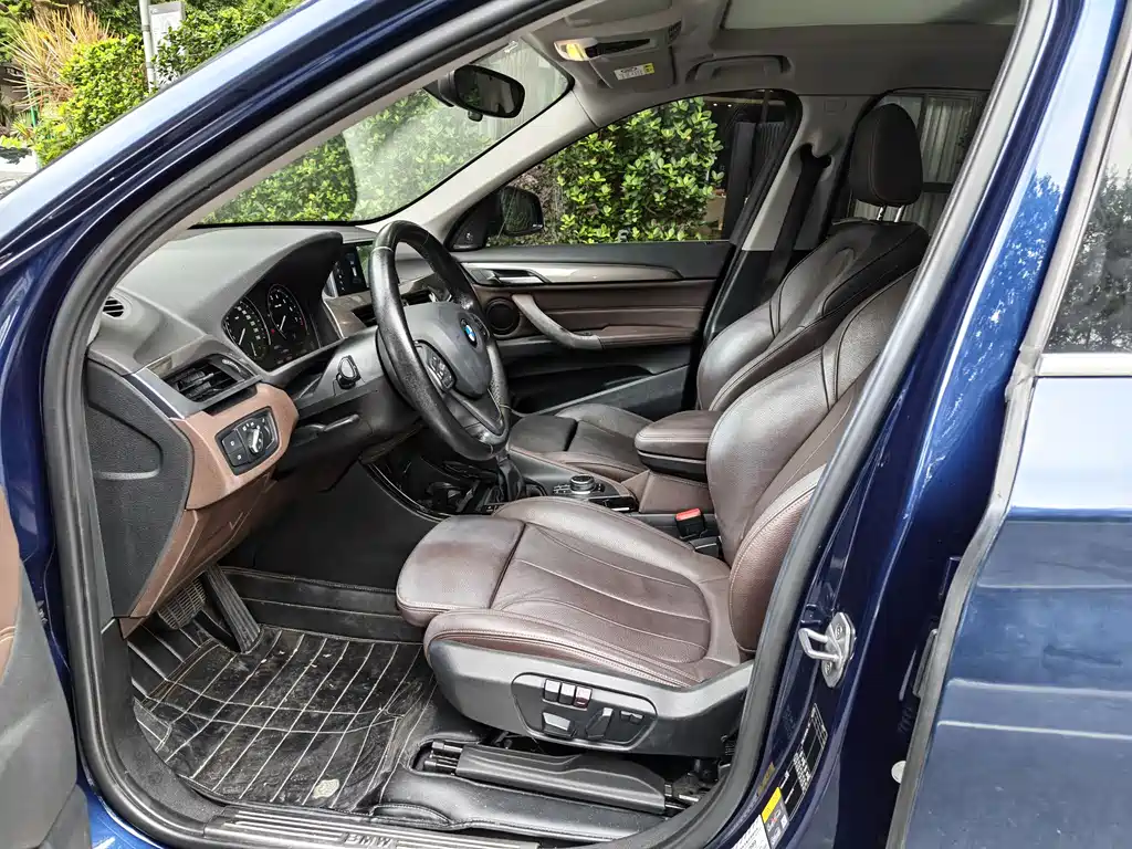 BMW X1 2019 xDrive25Le Luxury