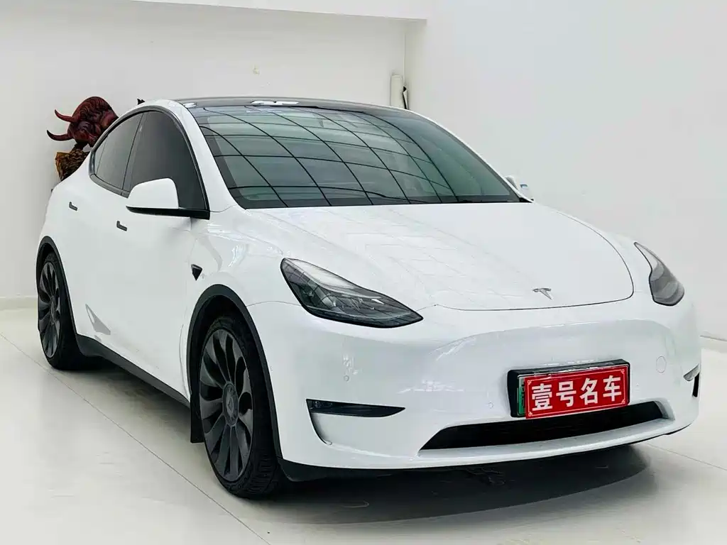 Tesla Model Y — миниатюра 3