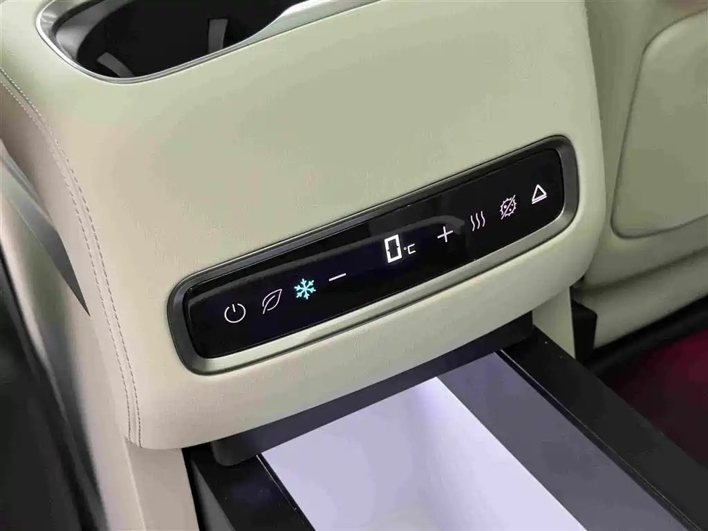Denza Denza D9 — миниатюра 18