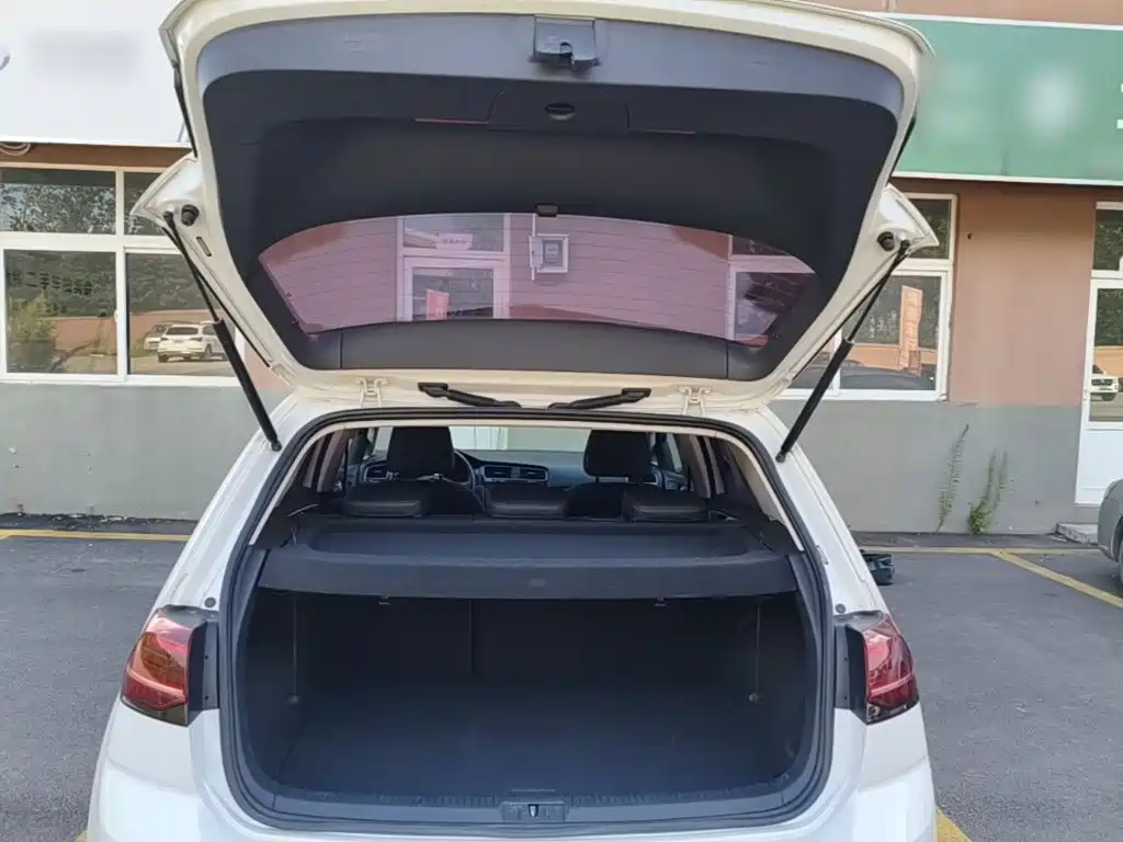 Volkswagen Golf — миниатюра 19