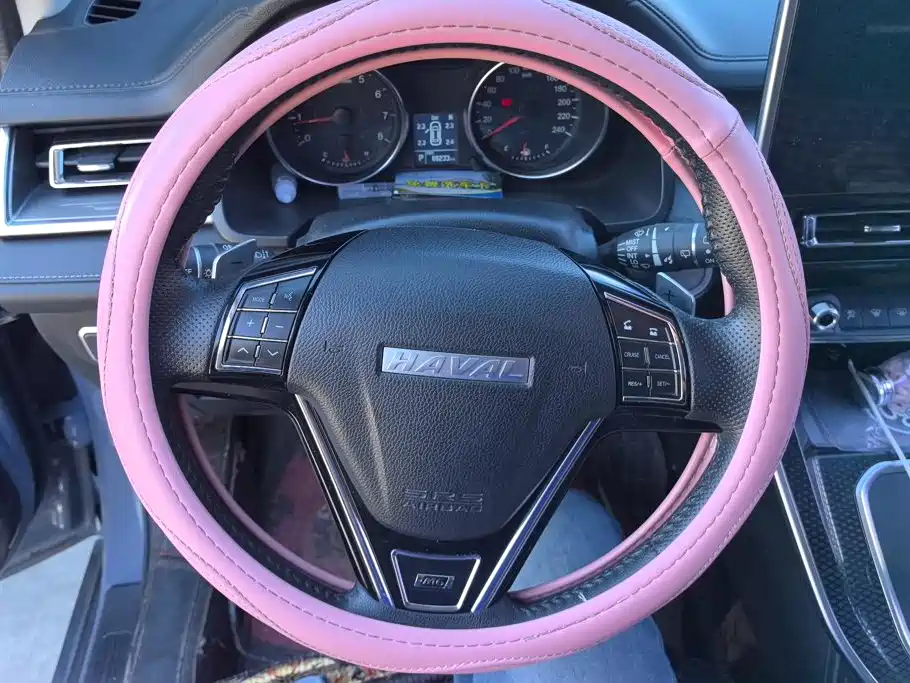 Haval M6 — миниатюра 15