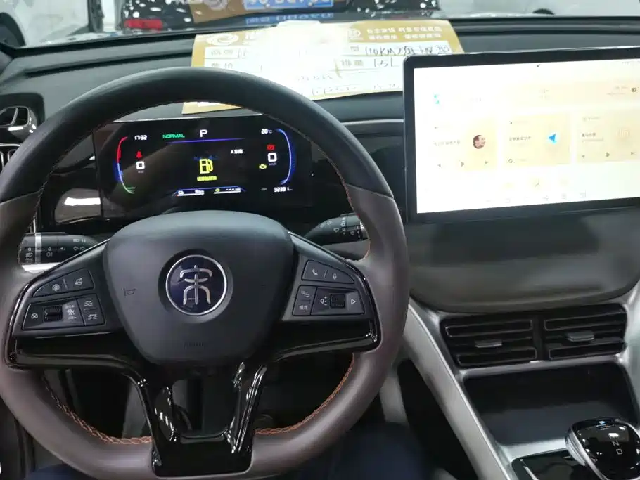 BYD Pro New Energy — миниатюра 12
