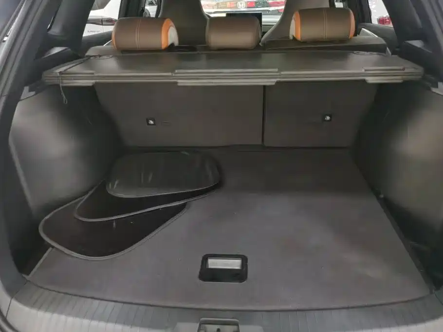 BYD Pro New Energy — миниатюра 4