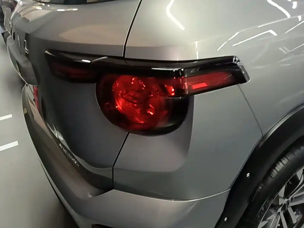 Haval Big Dog PLUS — миниатюра 8