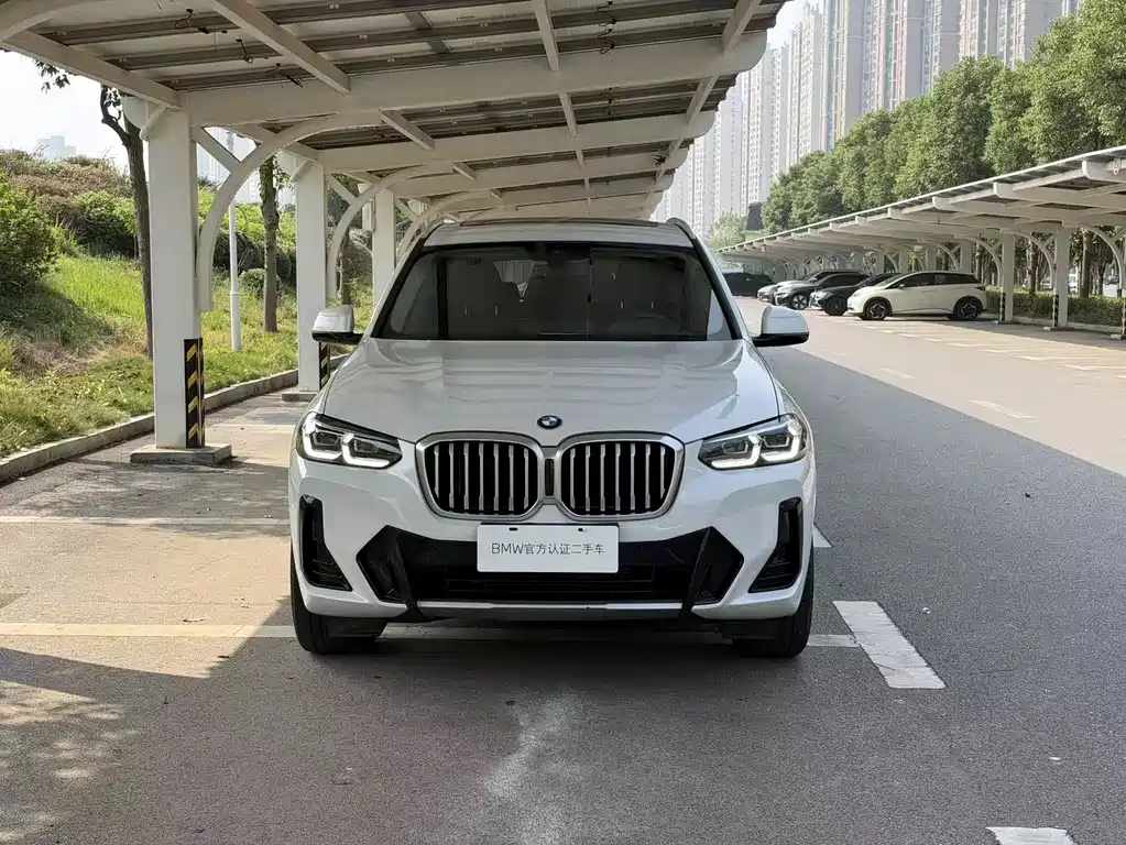 BMW X3 — миниатюра 5