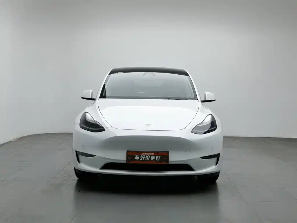 Tesla Model Y — миниатюра 3