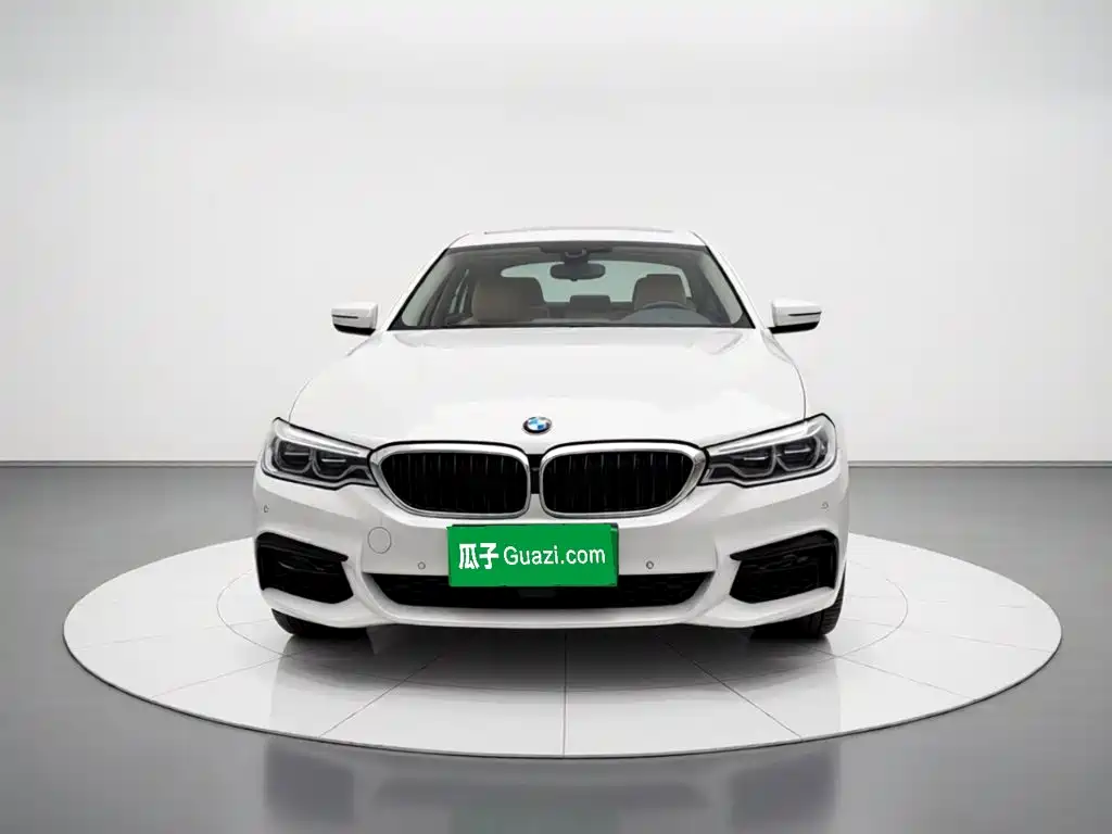 BMW 5 Series — миниатюра 2