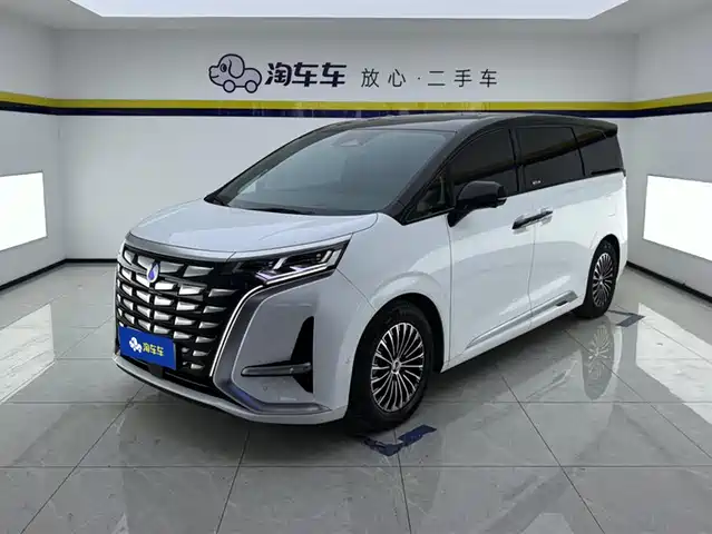 2023 Denza D9