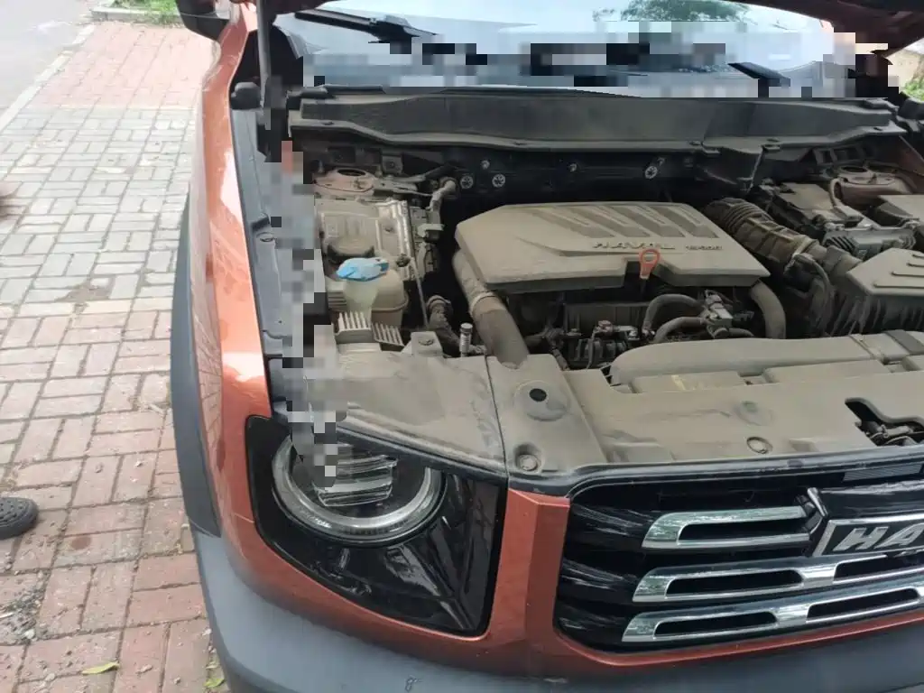 Haval Big Dog — миниатюра 20