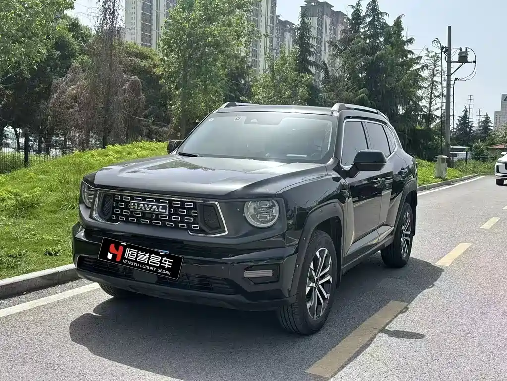 Haval 哈弗大狗 PLUS 2024