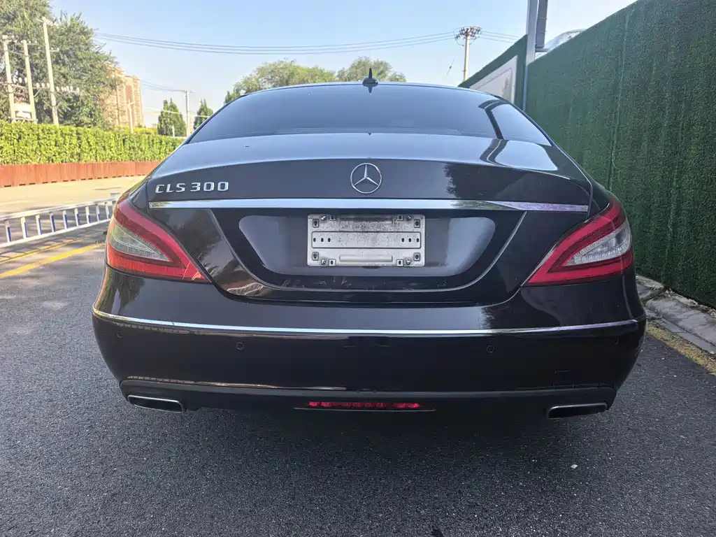 Mercedes-Benz CLS — миниатюра 13