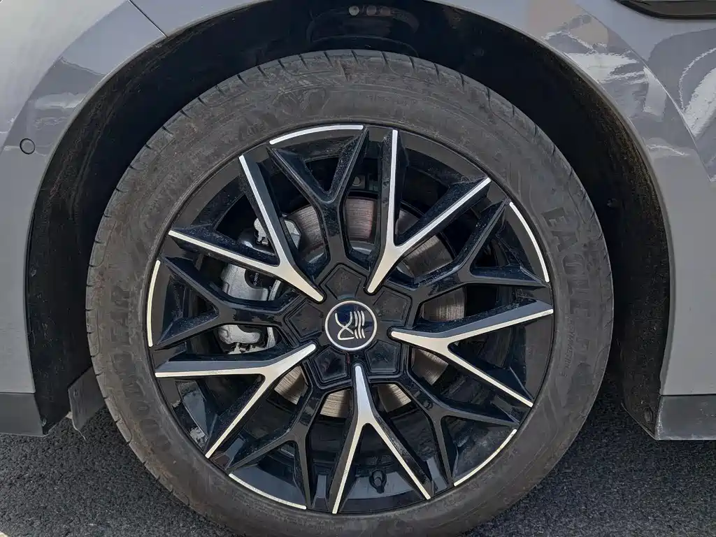 BYD Han 2025 DM-i Smart Drive 125KM Flagship