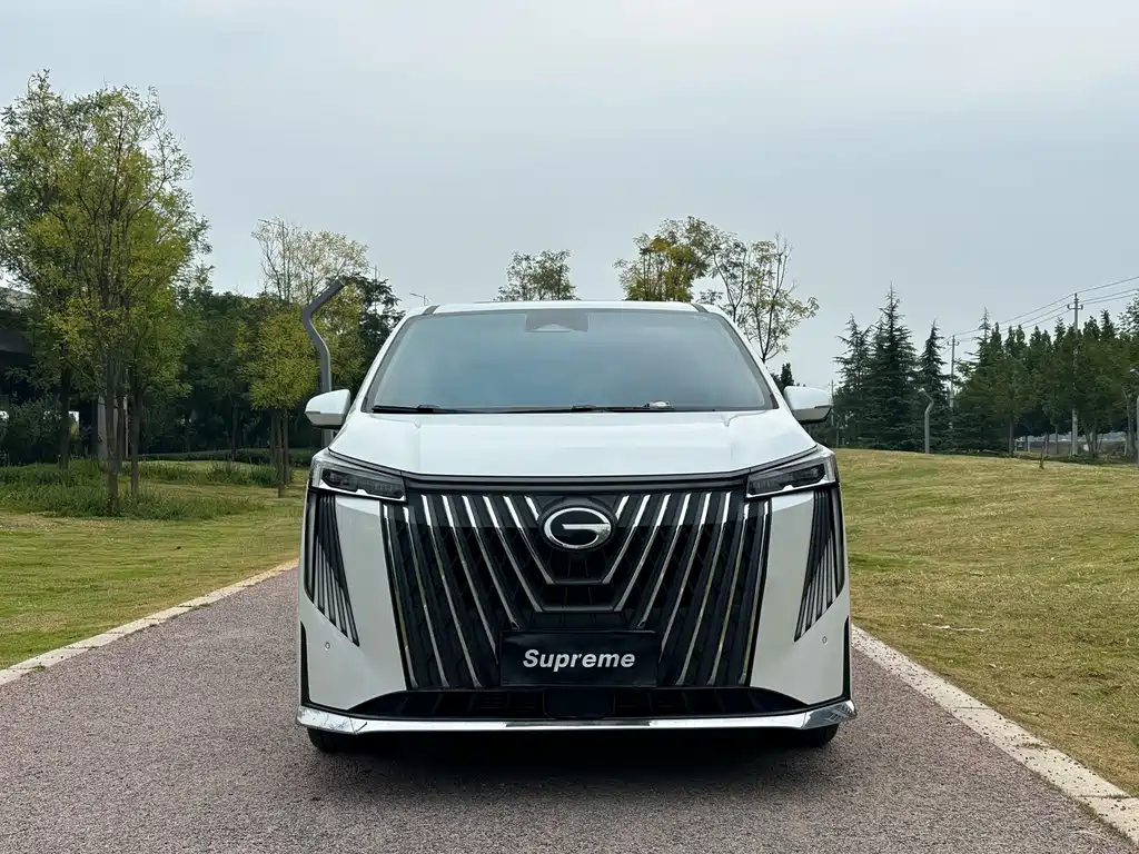 GAC Motor Trumpchi M8 — миниатюра 2