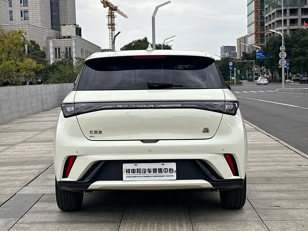 BYD DOLPHIN