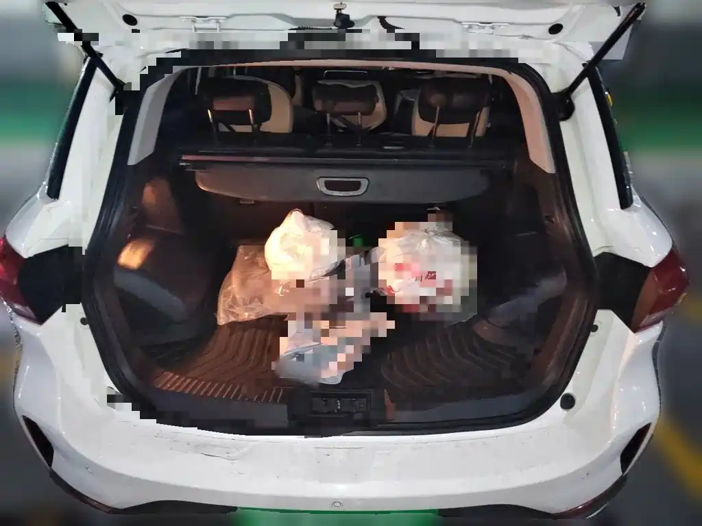 GAC Motor Trumpchi GS4 — миниатюра 10