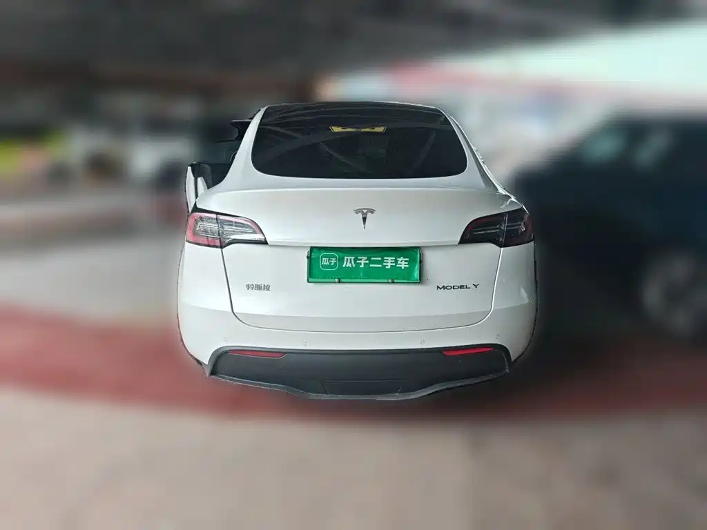 Tesla Model Y — миниатюра 5