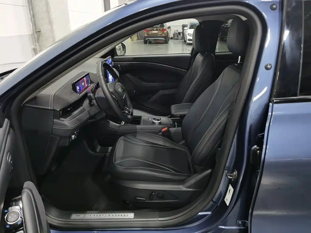 Ford Mustang Mach-E — миниатюра 10