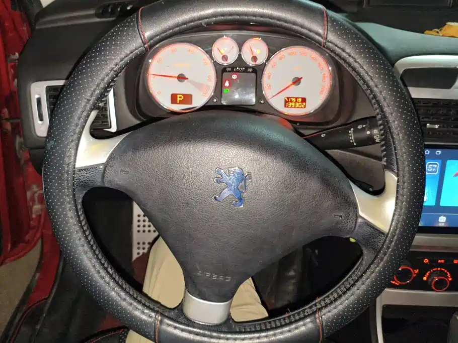 Peugeot 307 — миниатюра 15