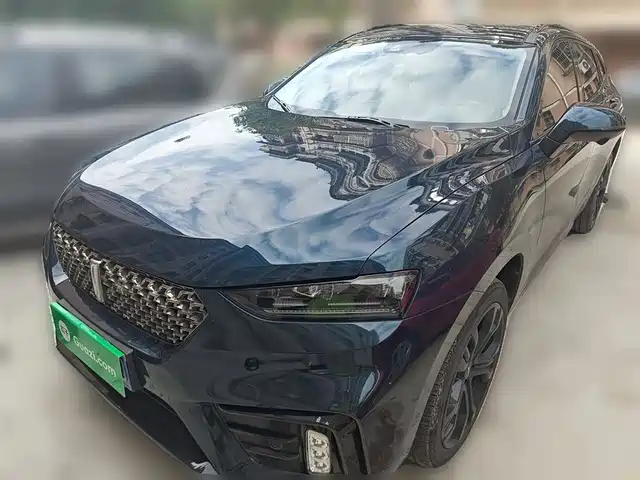 WEI PAI WEI BRAND VV7 2021