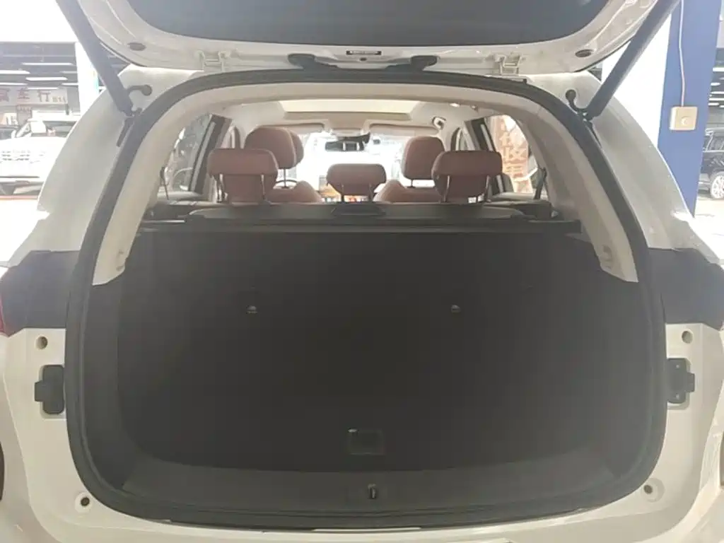 Skyworth EV6 — миниатюра 19