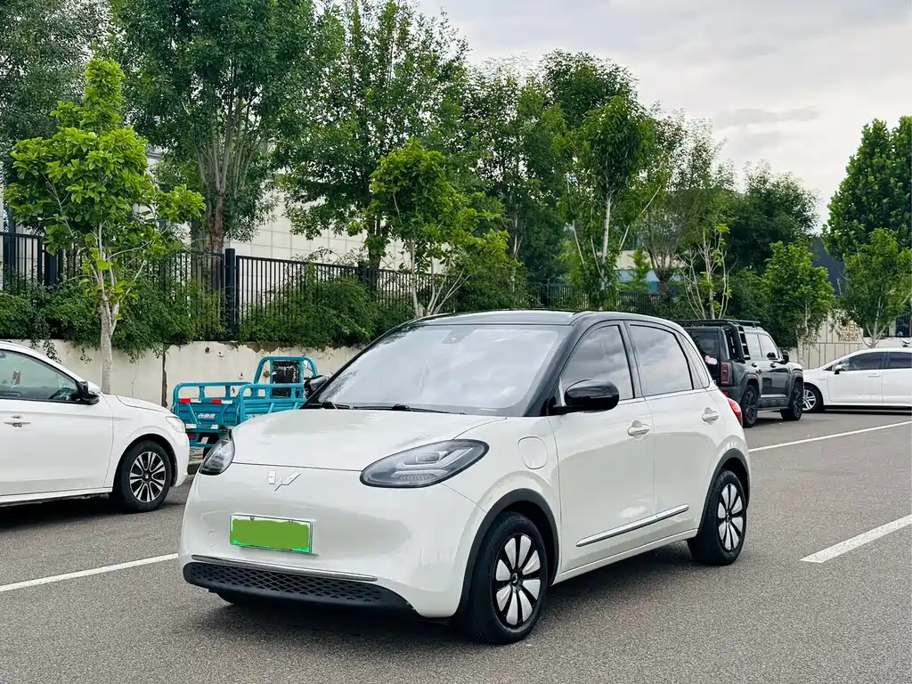 Wuling Binguo 2023 333km Enjoy +