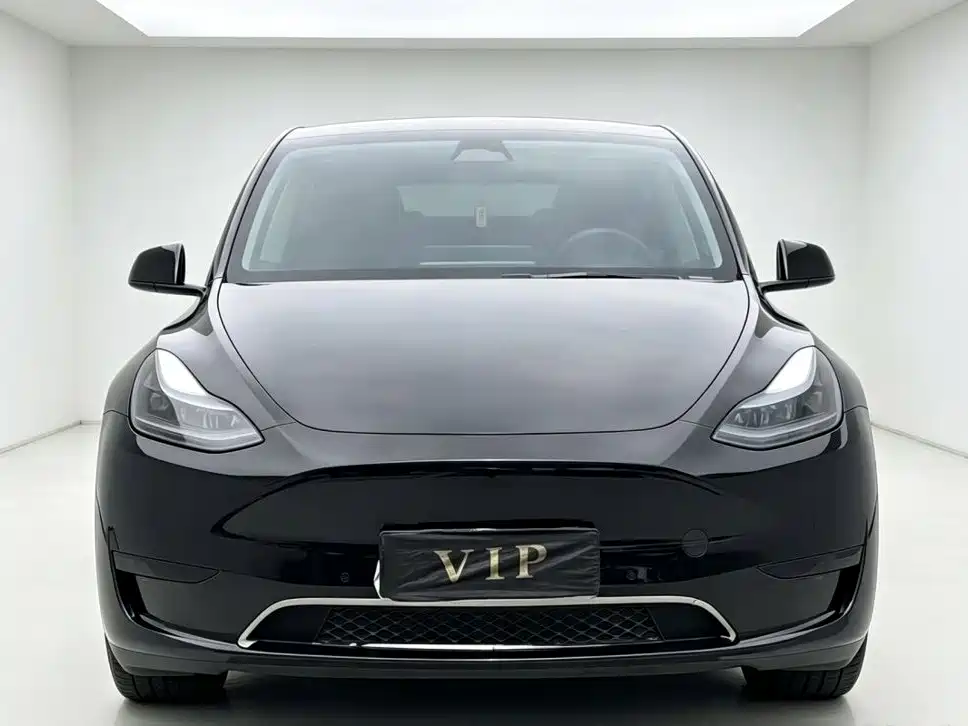 Tesla Model Y — миниатюра 2