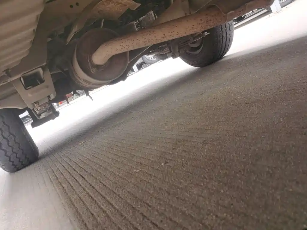 JINBEI GOLDEN CUP SEA LION