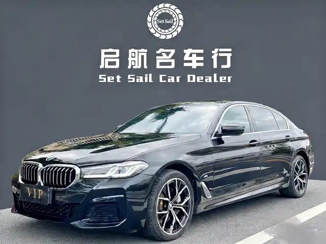 BMW 5 SERIES