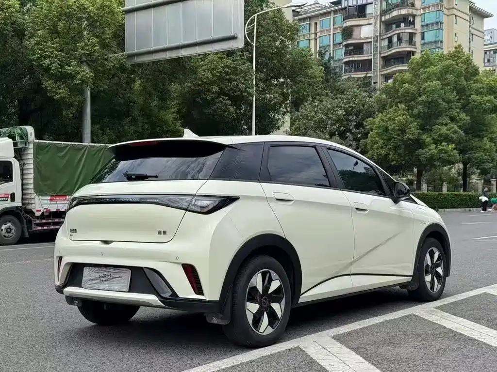 BYD Dolphin 2024 420km Fashion