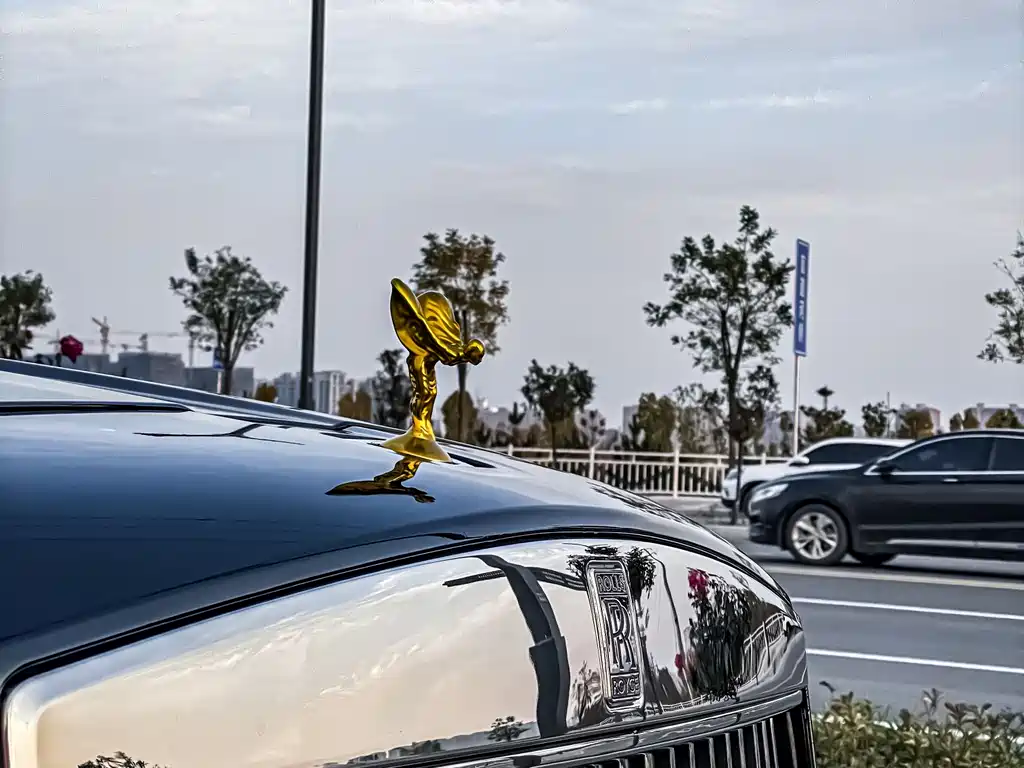 Rolls-Royce Cullinan 2018 мест