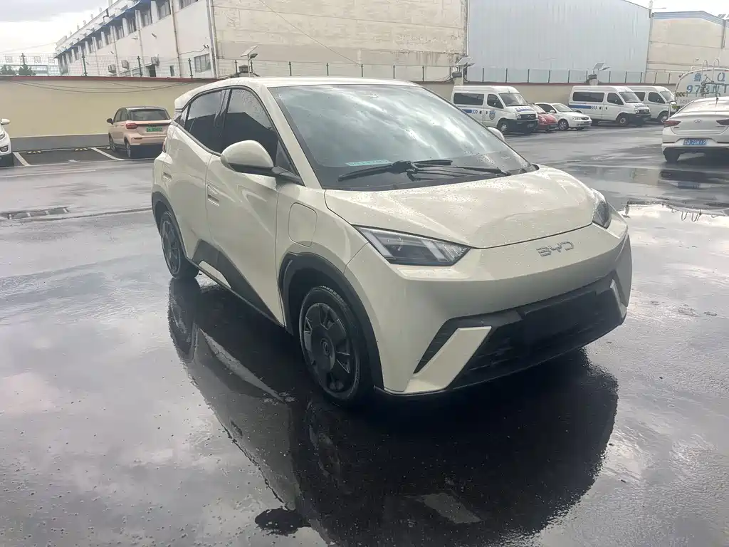 BYD Seagull 2024 305km