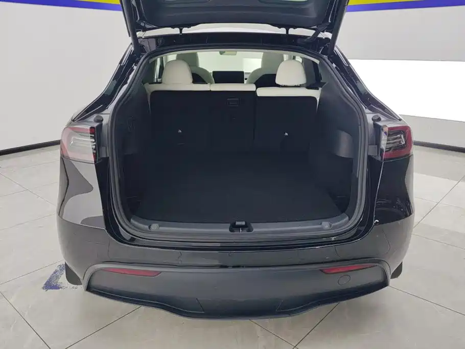 Tesla Model Y — миниатюра 4