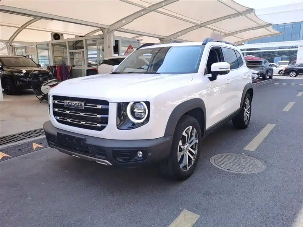 Haval Big Dog 2021