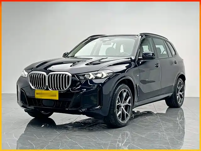 BMW  X5
