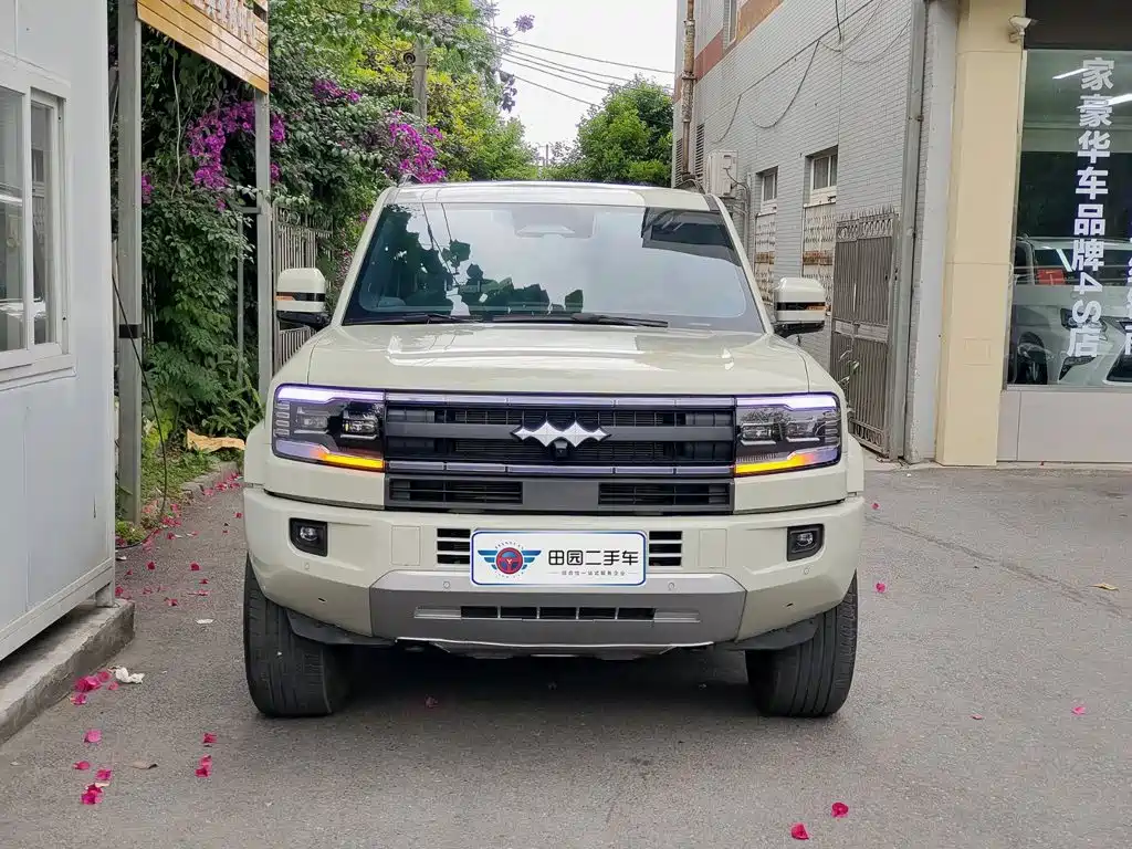 Fang Cheng Bao Leopard 5 — миниатюра 2