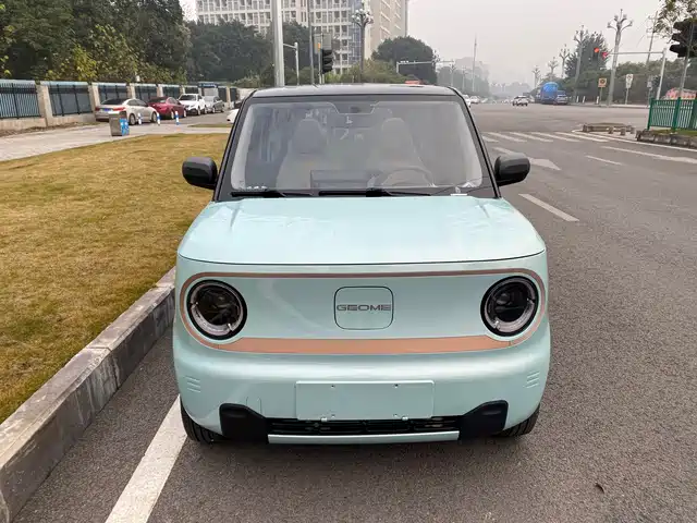 2023 Geely LC (Panda)