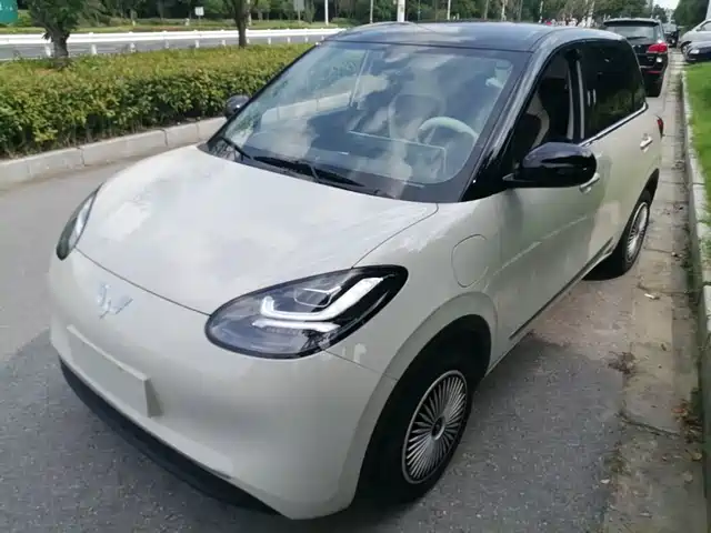 2024 Wuling Motors Binguo