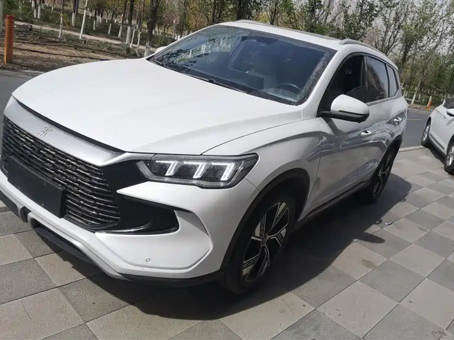 Byd Pro New Energy 2024