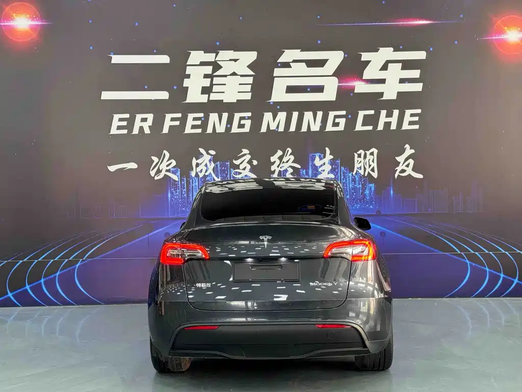 Tesla Model Y — миниатюра 5