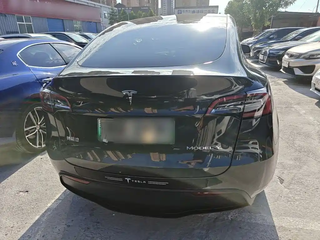 Tesla Model Y — миниатюра 6